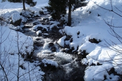 chartreuse_snow_mountain_snowy_landscape_hiking_winter_landscape_silence-820149